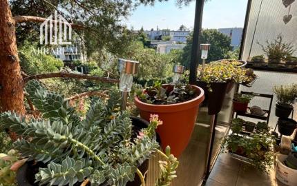 Mirareal realitná kancelária