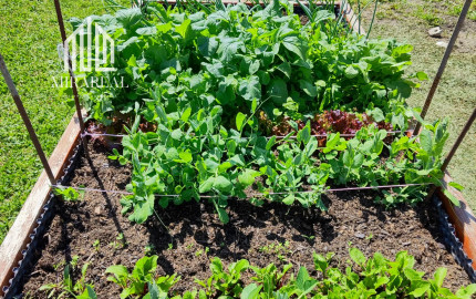 Mirareal-predaj 4. izb. rodinný dom Galanta, Mládežnícka štvrť