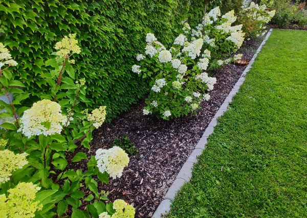 Mirareal-predaj 4. izb. rodinný dom Galanta, Mládežnícka štvrť