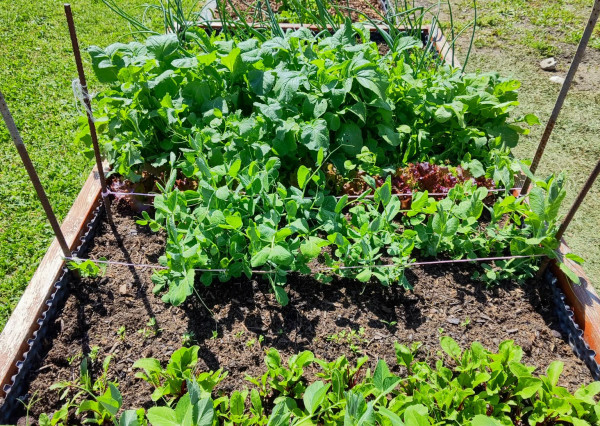 Mirareal-predaj 4. izb. rodinný dom Galanta, Mládežnícka štvrť