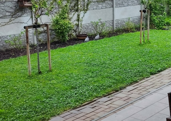 Mirareal-predaj 4. izb. rodinný dom Galanta, Mládežnícka štvrť